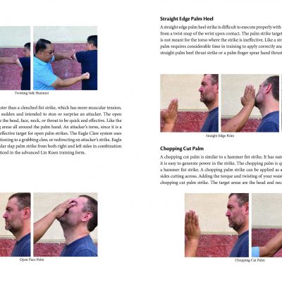 Pages from Eagle Claw Eagle Claw Kung Fu: Tactics and Applications for Self-Defense